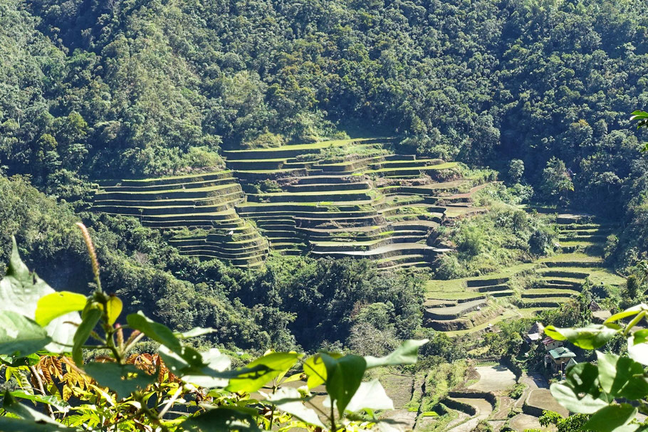 Batad Rice Terraces (Banaue)