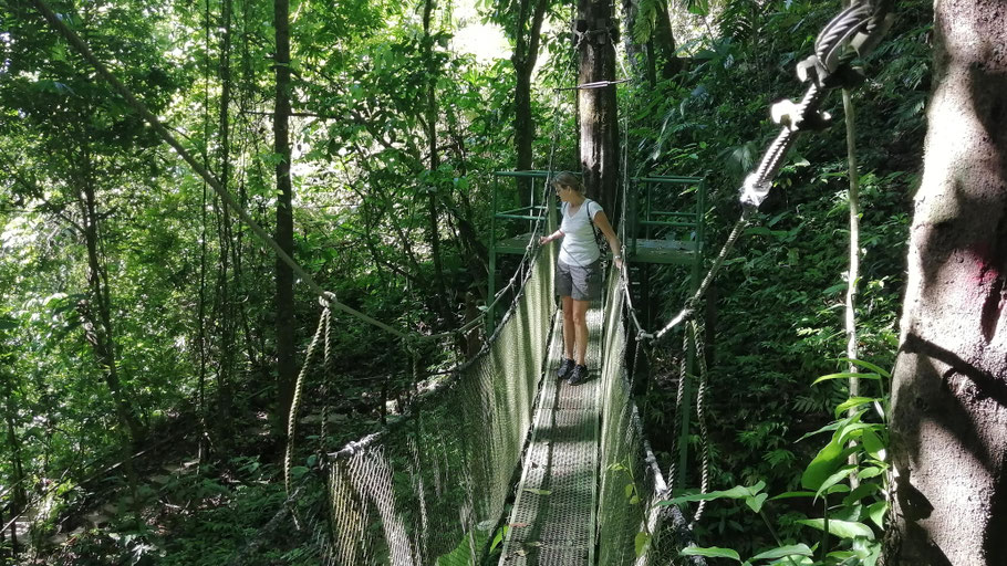 Costa Rica : sur un des ponts suspendus du parc Rainmaker