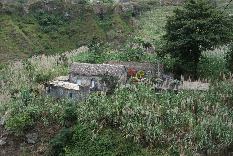 Cap vert, Santo Antão : en bas de la Vale do Paùl