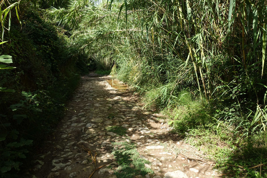 Minorque, sentier du baranc d'Algendar