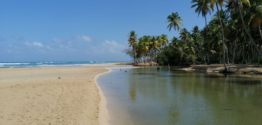 Playa Cosón dans la péninsule de Samaná