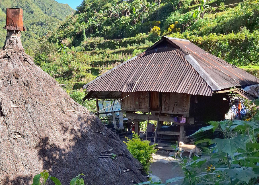 Habitation du village de Batad
