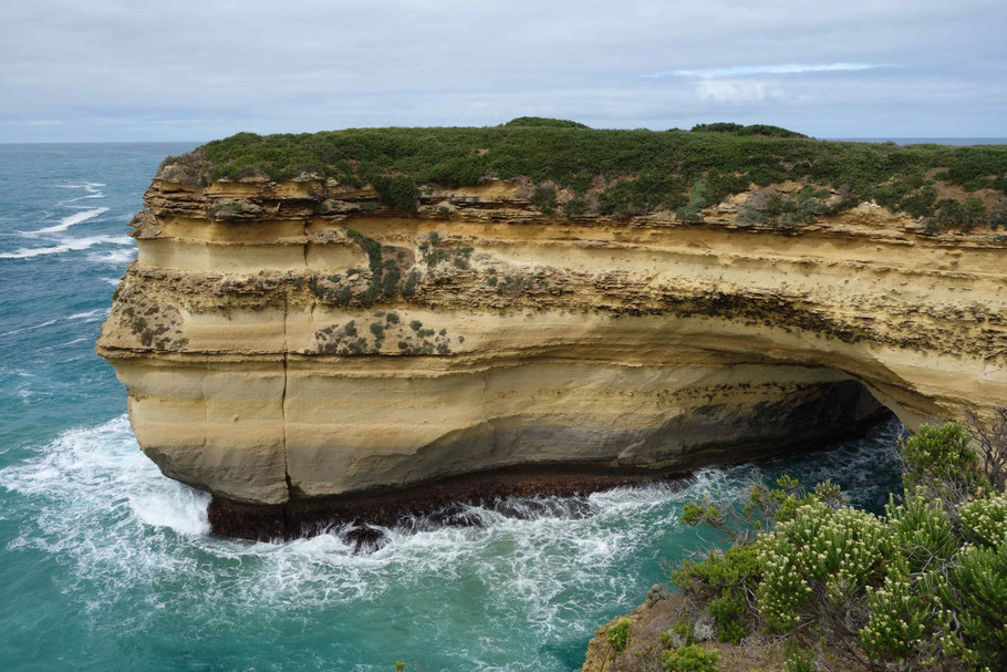 Australie, Great Ocean Road : Mutton Bird Lookout