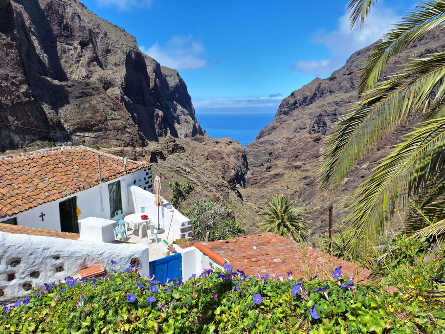Canaries, Tenerife : maisonnette à Lomo de Masca