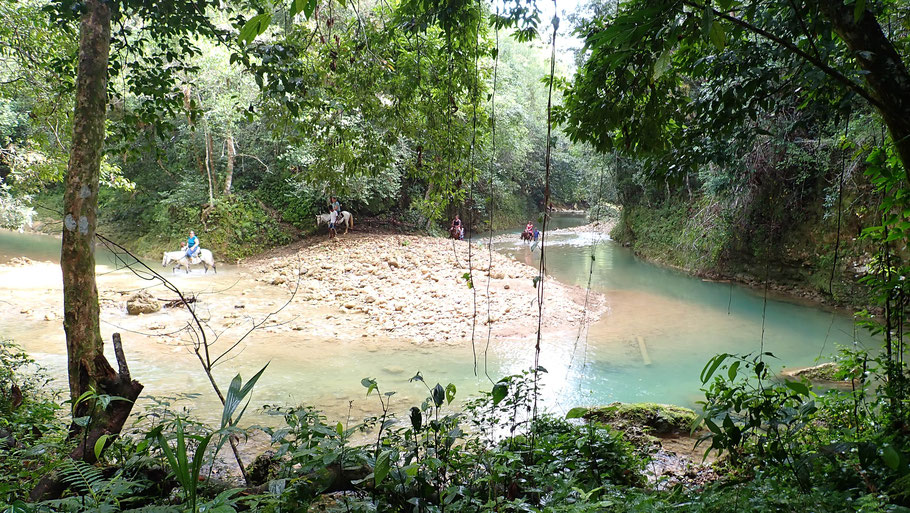 République Dominicaine, péninsule de Samana :  rio El Limón