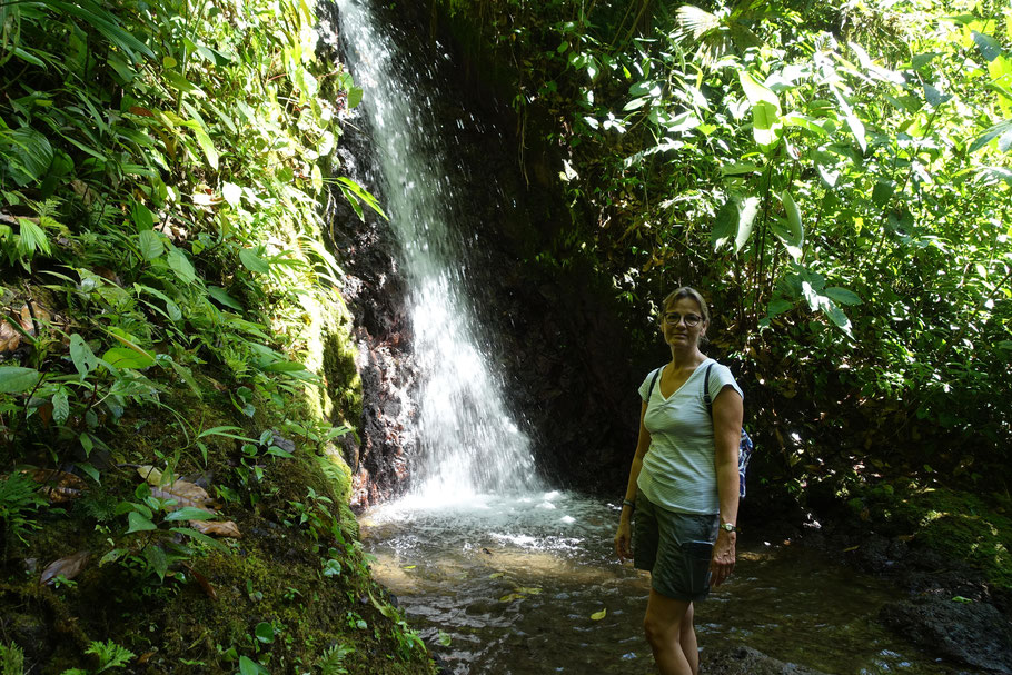 Costa Rica, petite cascade dans le parc Rainmaker