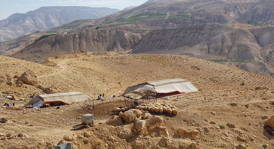 Jordanie : camp de nomades sur la route des Rois avant le barrage de Wadi Al-Mujib