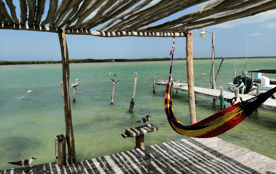 Mexique, Yucatan : lagune de Rio Lagartos
