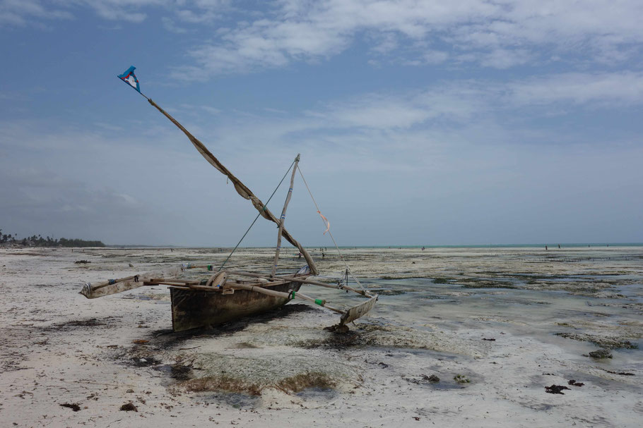 Zanzibar : dhow sur la plage de Jambiani