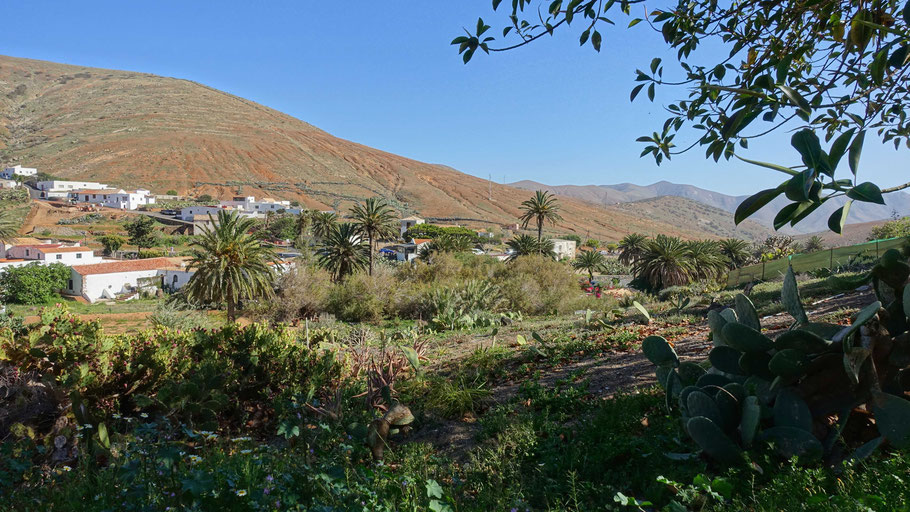 Fuerteventura : les splendides paysages environnant Betancuria 
