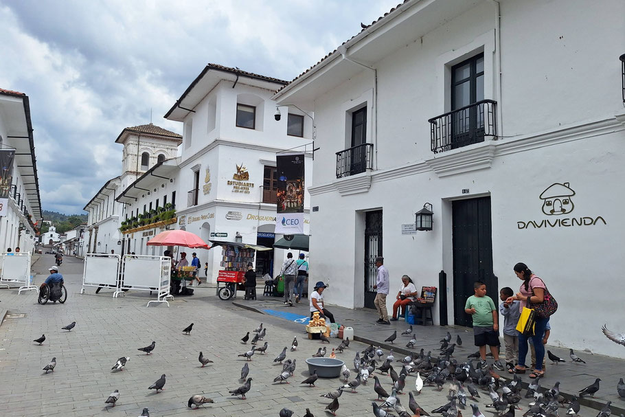 Colombie, Popayán : du Parque Caldas vers calle 5 en 2024
