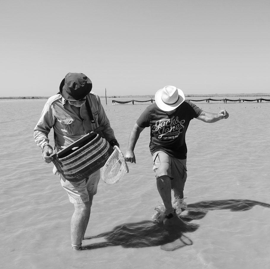 Pêcheurs dans la baie du Mont St Michel