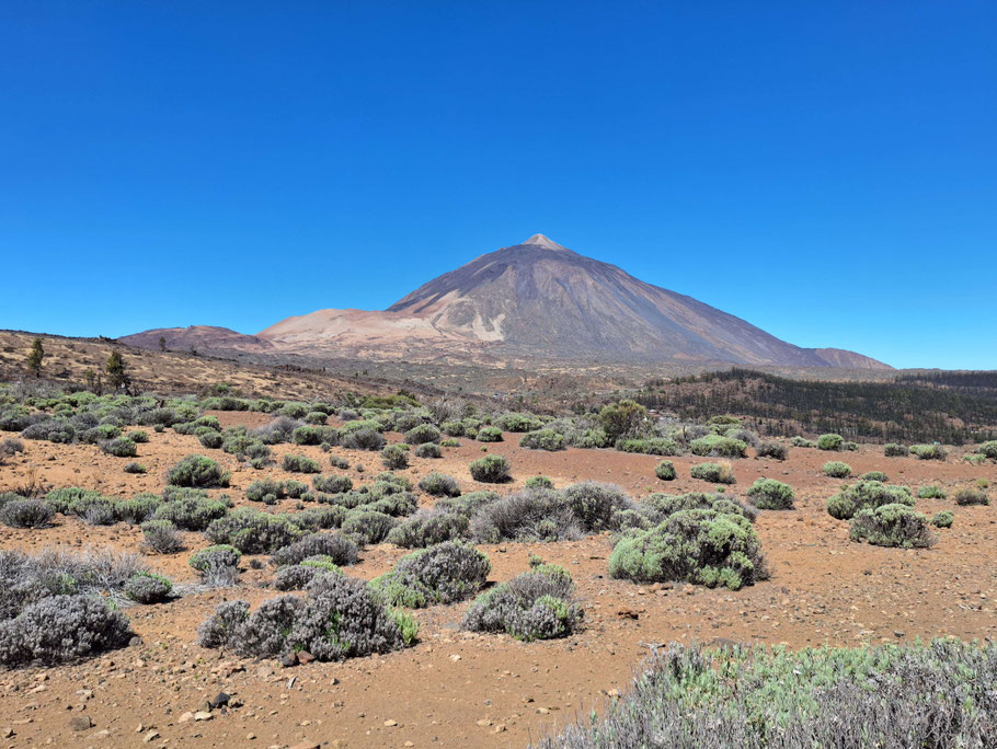 Canaries, Tenerife : volcan Teide vu du chemin de la Montaña de Guamaso
