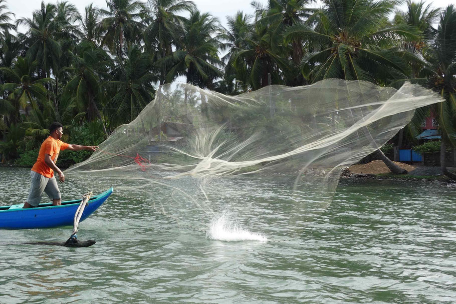 Sri Lanka : pêche au filet sur la lagune de Batticaloa