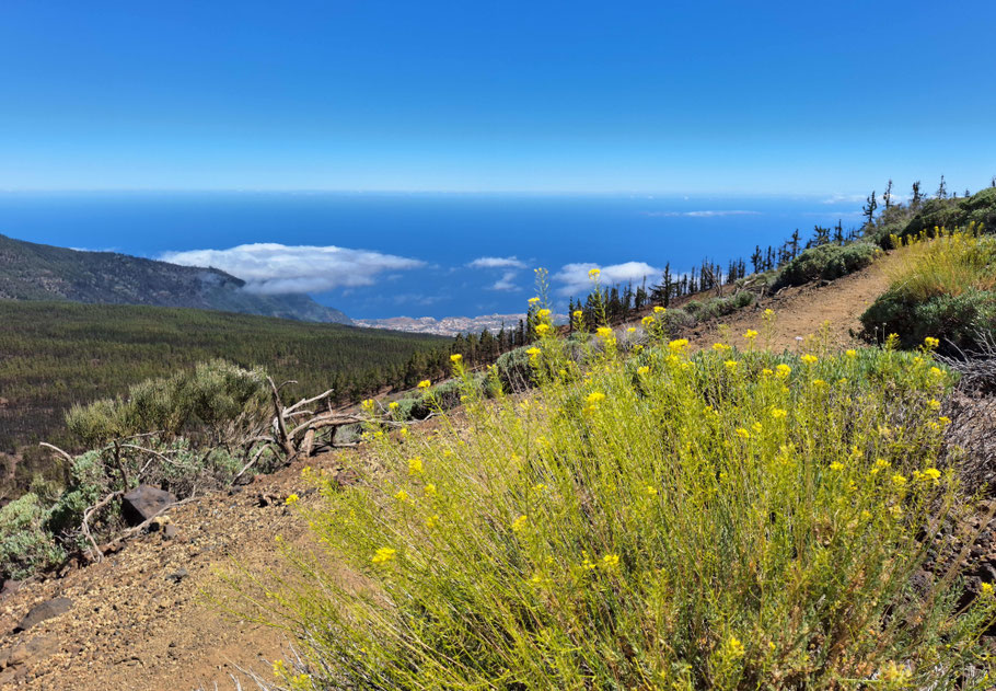 Canaries, Tenerife : panorama du chemin faisant le tour de la Montaña de Guamaso