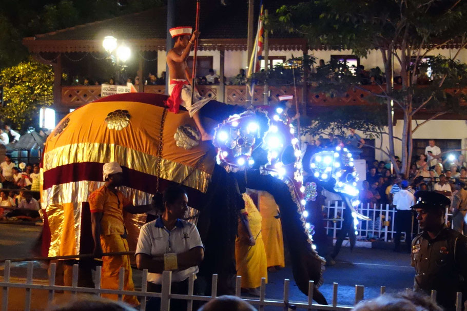 Sri Lanka, Kandy : dernière cérémonie de l'Esala Perahera