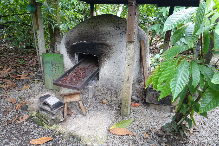 Costa Rica, La Fortuna : Don Olivo chocolate tour, four pour cuire les fèves de cacao