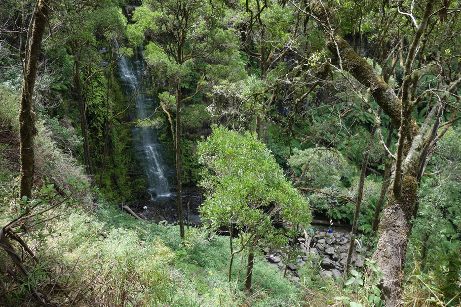 Australie : Eskine Falls