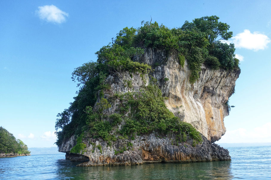 République Dominicaine, péninsule de Samaná : parc de Los Haïtises, au pied d'un îlot
