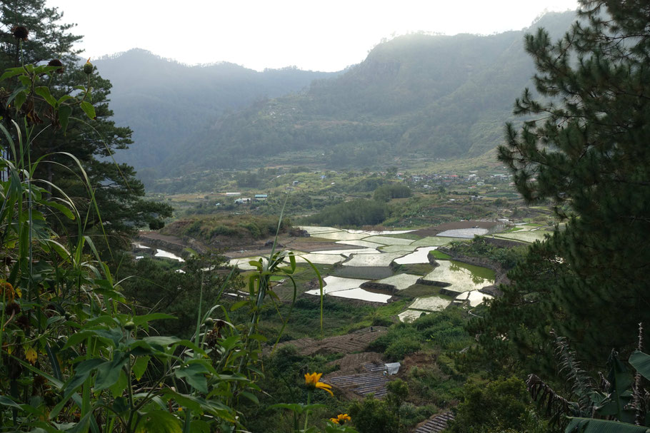 Kapay-aw Rice Terraces vues du Gaia Cafe de Sagada