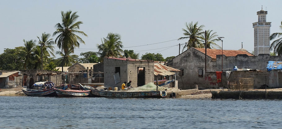 Sénégal :  le village isolé de Falia, sur une île de coquillages, dans le Sine Saloum