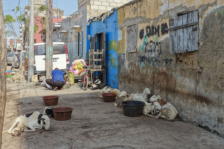 Sénégal, Dakar : rue ME-10
