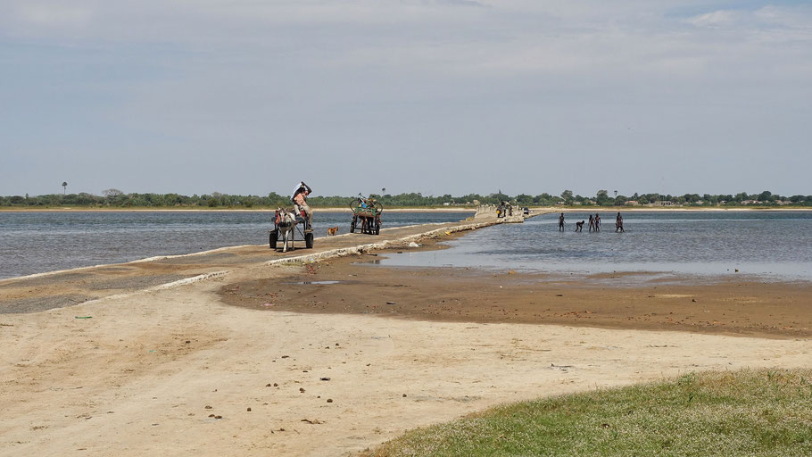 Sénégal, Sine Saloum : digue permettant d'accéder à Simal