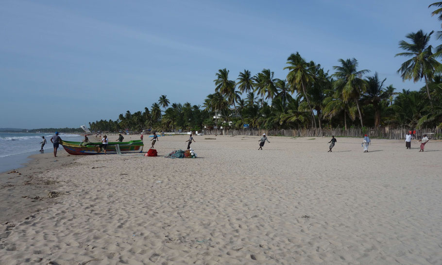 Sri Lanka, plage d'Uppuveli : pêcheurs remontant le filet à 8 h du matin