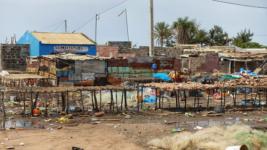 Sénégal, Sine Saloum : poissons séchés à Djiffer