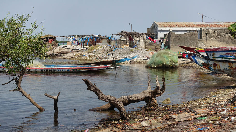 Sénégal, Sine Saloum : Falia