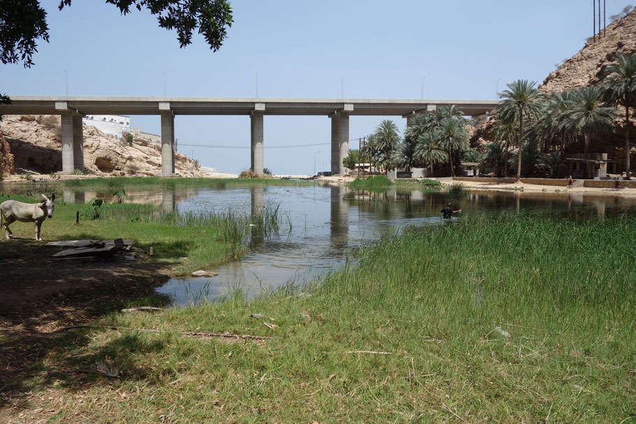 Oman, Gué et pont à l'entrée du Wadi Shab