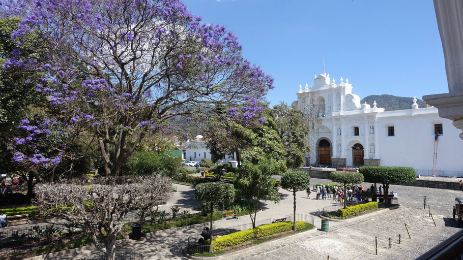 Guatemala : cathédrale et parque central d'Antigua