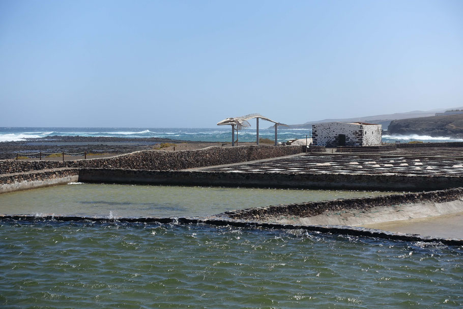 Fuerteventura, Las Salinas del Carmen : marais salants et squelette du rorqual commun