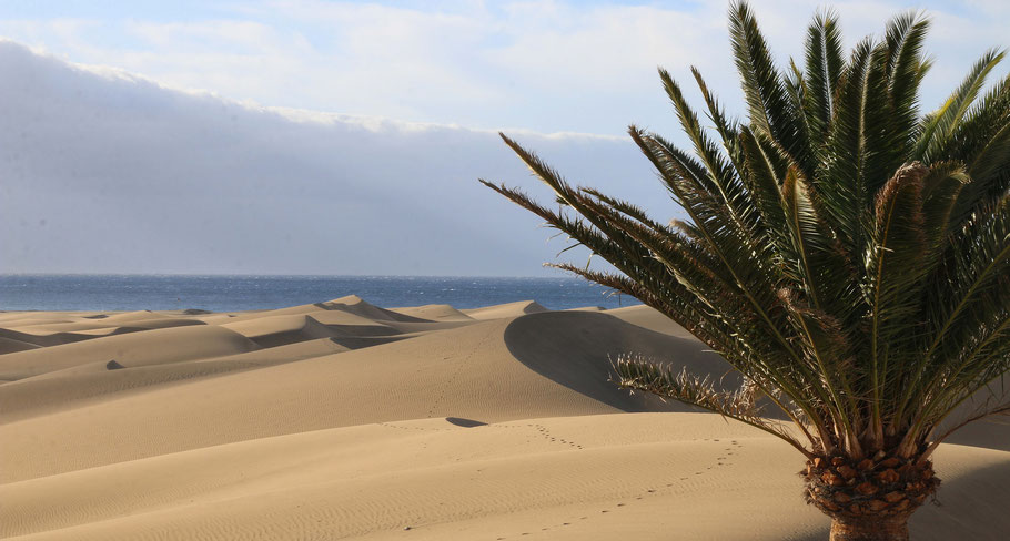 Grande Canarie : dunes de Maspalomas