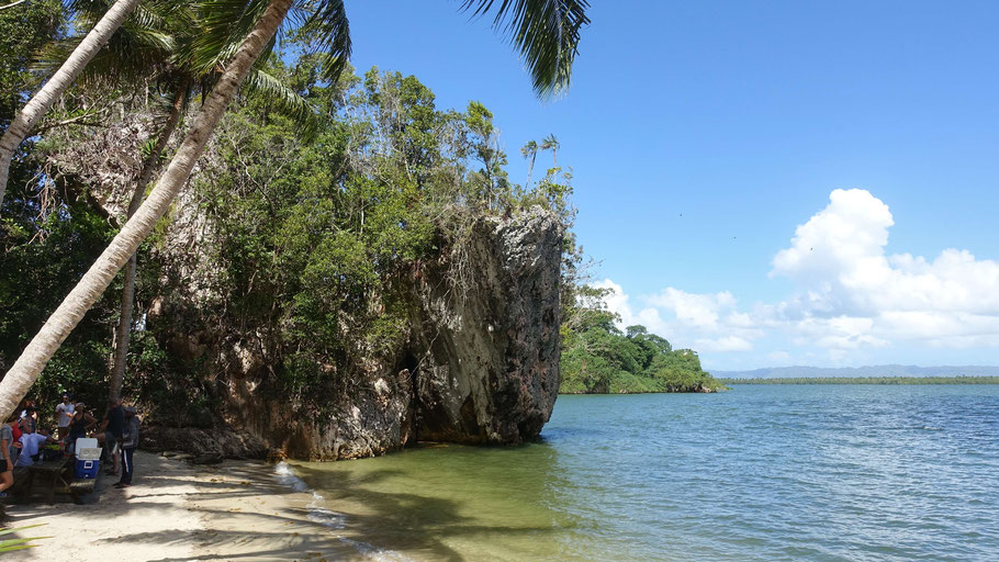 République Dominicaine, péninsule de Samana : parc de Los Haïtises, arrivée à la Cueva Arena