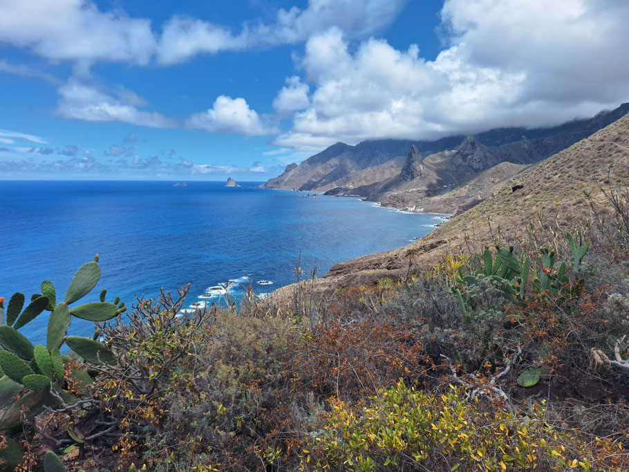 Canaries : panorama sur la côte nord-est de Tenerife du sentier PR-TF 8 