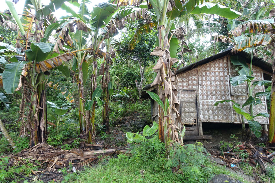 Cabane près de Cadapdapan (Bohol)