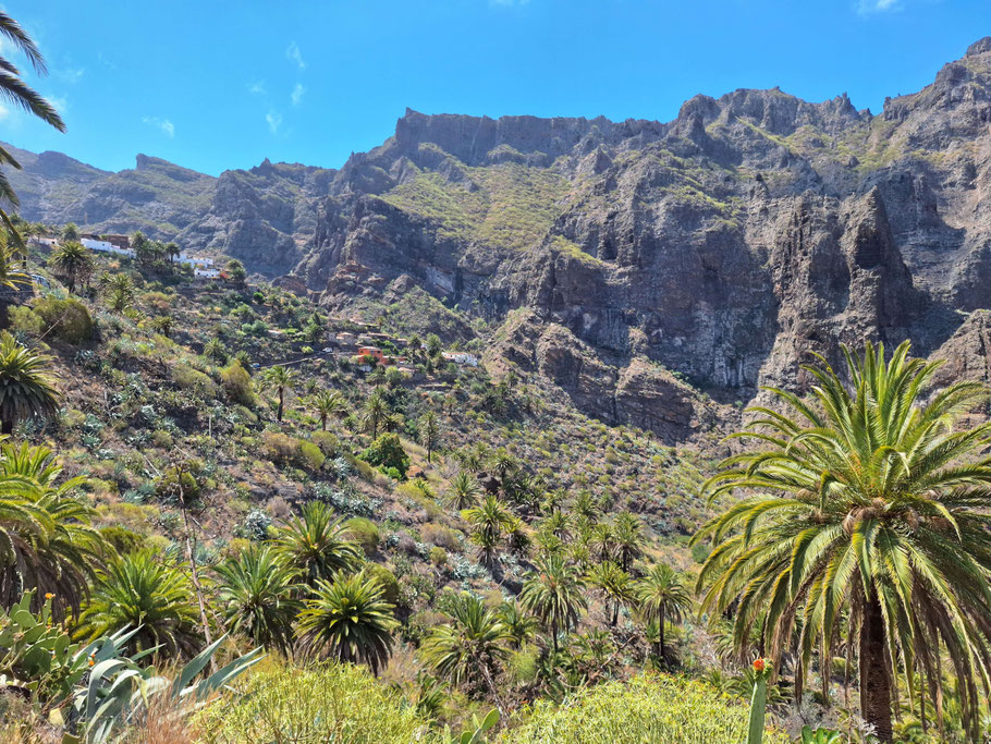 Canaries, Tenerife : vue sur Lomo de Masca et les montagnes