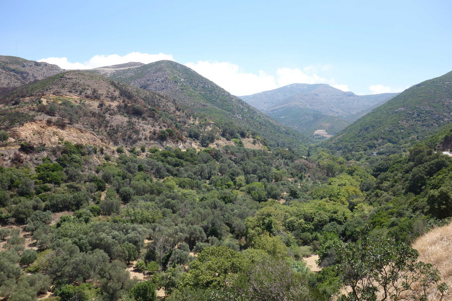 Crète, Kambos : vue de la terrasse de la taverne Lefteris