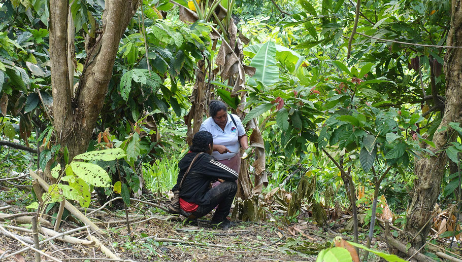 Colombie, finca Miramar : Enelis donnant des conseils à un ouvrier agricole de la finca Miramar