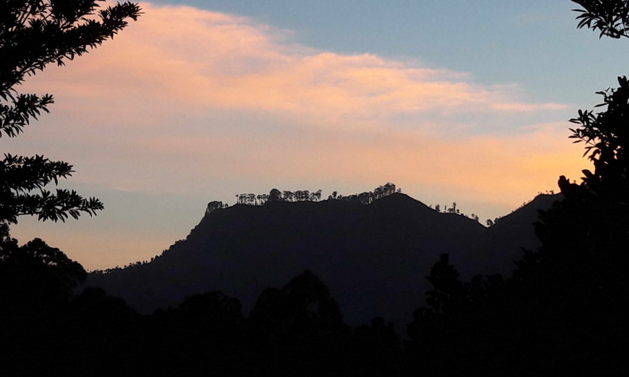 Sri Lanka, Ella : Morning Mist à la nuit tombée