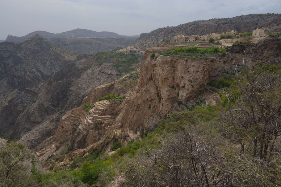 Oman, plateau de Sayq  : vue sur Al Ayn depuis Al Aqur