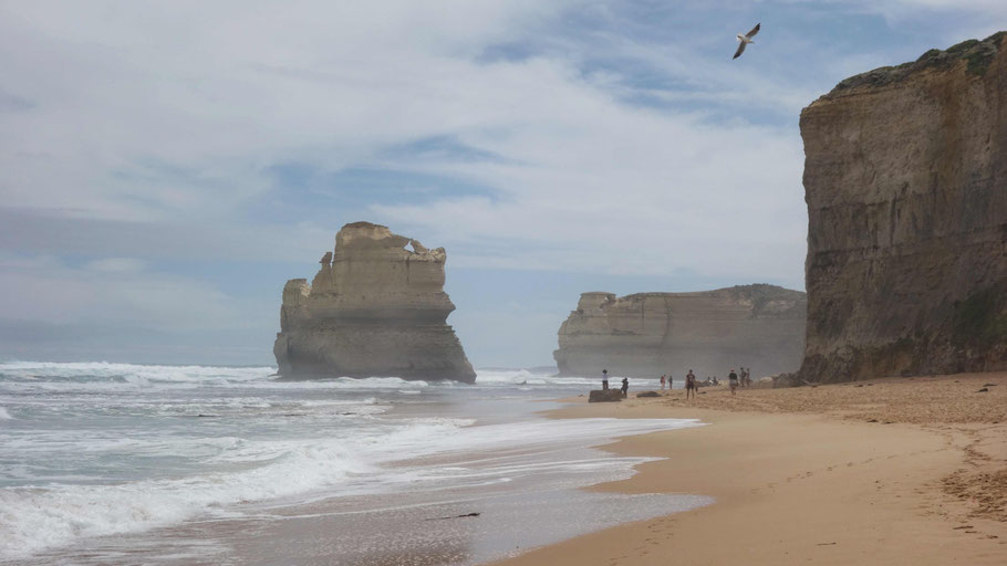 Australie, Great Ocean Road : plage et falaise de Gibson Steps