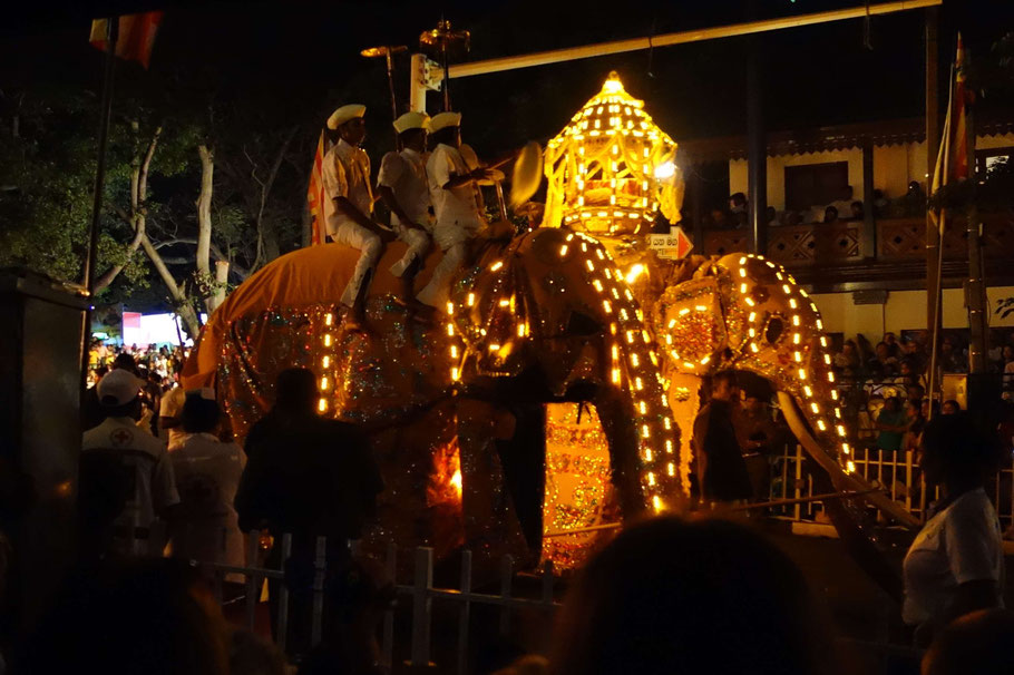Sri Lanka, Kandy : dernière cérémonie de l'Esala Perahera