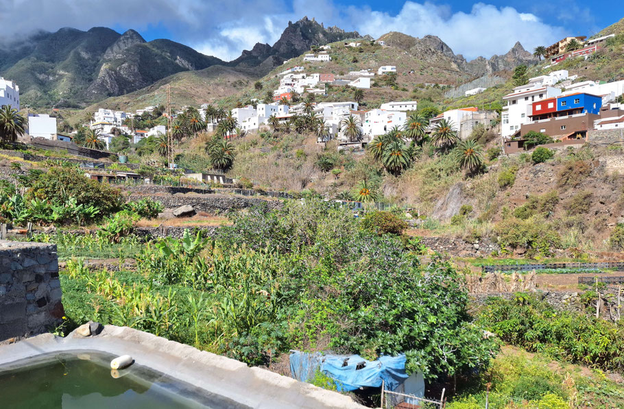 Canaries, Tenerife : Taganana, ses maisons blanches et le barranco de la Iglesia