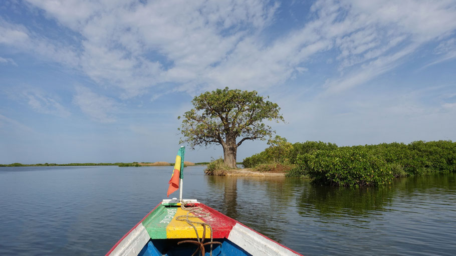 Sénégal : excursion en pirogue dans le Sine Saloum vers l'île aux oiseaux, près de N'Dangane
