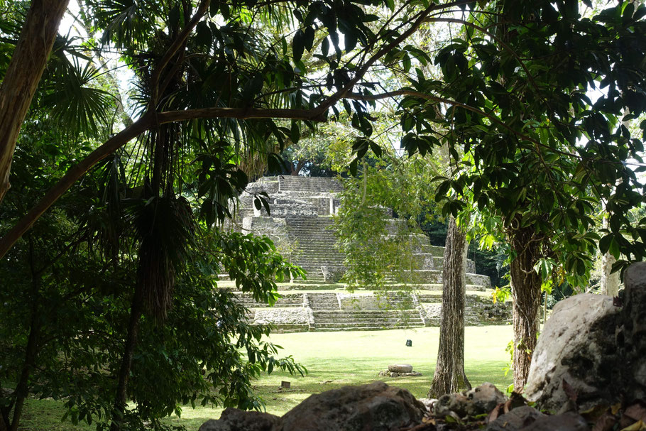 Belize : le site très verdoyant de Lamanai