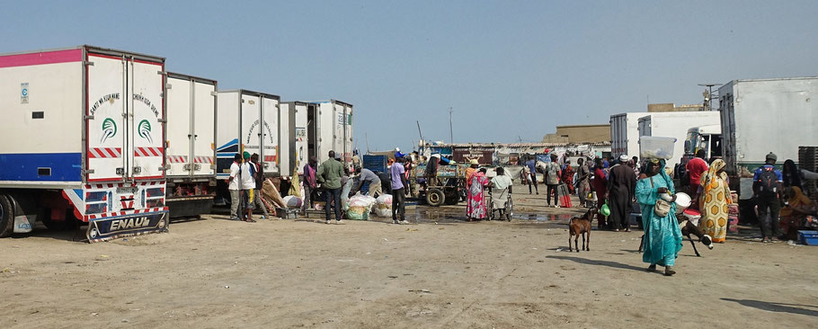 Sénégal, Saint-Louis : marché aux poissons de Guet N'Dar