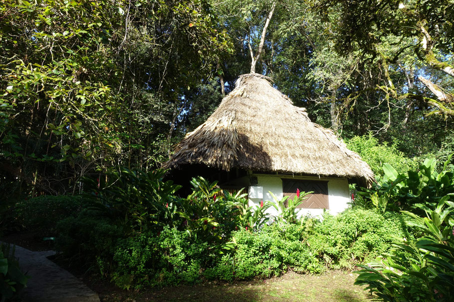 Belize, San Ignacio : bungalow Toucan du Maya Mountain Lodge