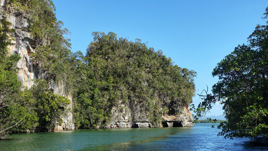 République Dominicaine, péninsule de Samaná : parc de Los Haïtises, entrée vers la mangrove